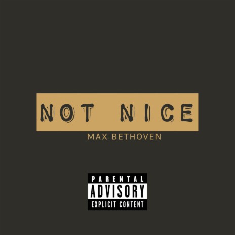 Not Nice (Instrumental) | Boomplay Music