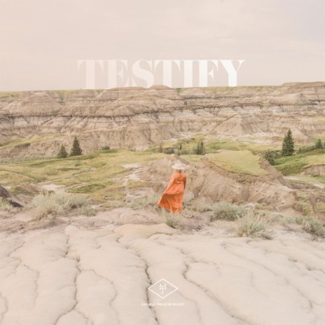 Testify (Radio Edit) | Boomplay Music