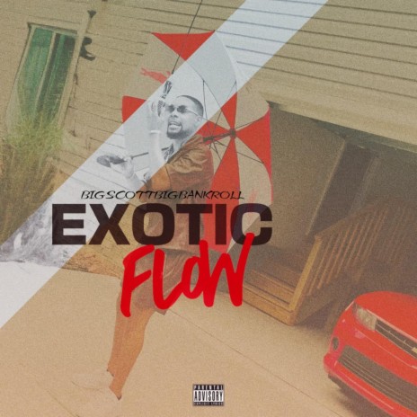 Exotic Flow | Boomplay Music