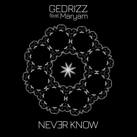 Never know (feat. Maryam) | Boomplay Music