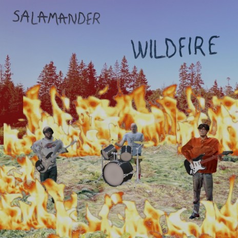 wildfire