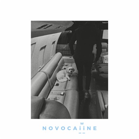 Novocaiine | Boomplay Music