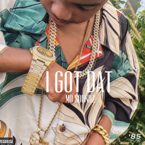 I Got Dat | Boomplay Music