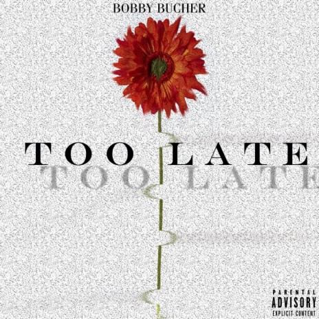 Too Late | Boomplay Music