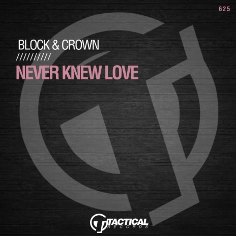 Never Knew Love (2022 MIX) | Boomplay Music