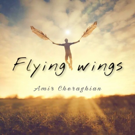 Flying Wings | Boomplay Music