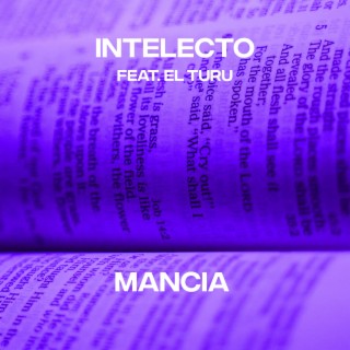 Intelecto