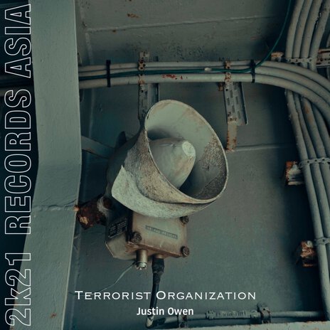 Terrorist Organization | Boomplay Music