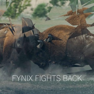 Fynix