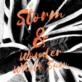 Storm & Wonder