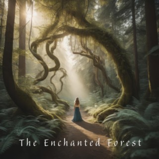 The enchanted Forest