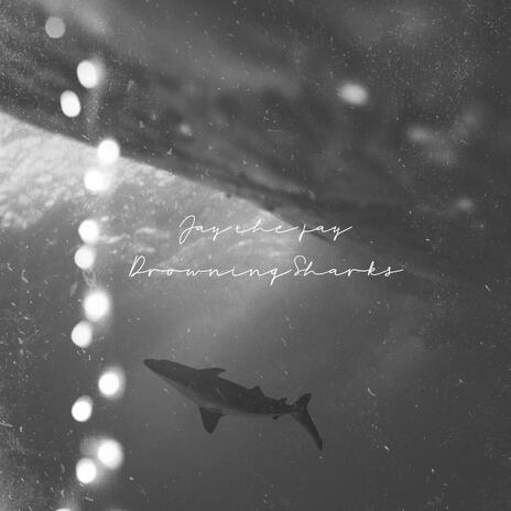 Drowning Sharks | Boomplay Music