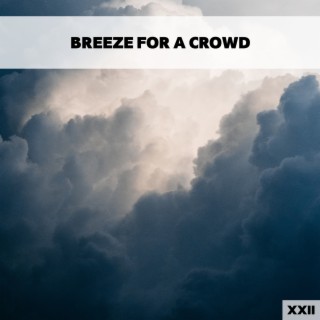 Breeze For A Crowd XXII