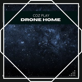 Drone Home