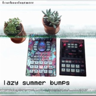 Lazy Summer Bumps