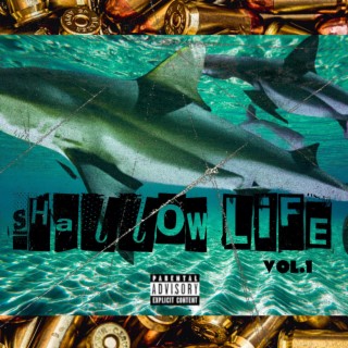 Shallow Life vol.1
