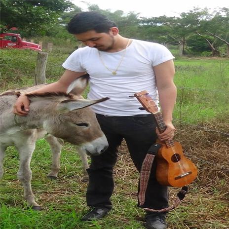 Guacamaya por Tono Rey Variado | Boomplay Music