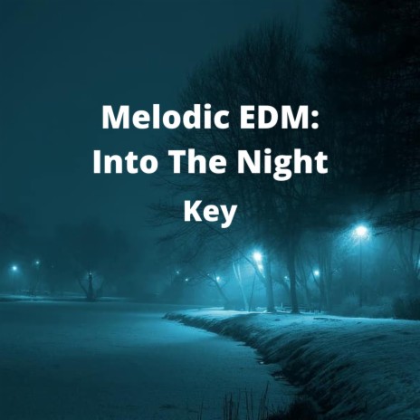 Melodic EDM: Into The Night