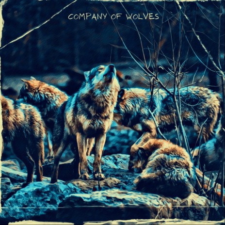 Company of Wolves | Boomplay Music