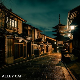 Alley Cat