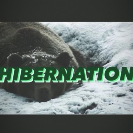 Hibernation | Boomplay Music
