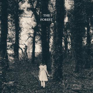 The Forest lyrics | Boomplay Music