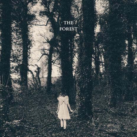 The Forest | Boomplay Music