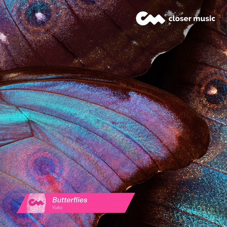 Butterflies (Instrumental) | Boomplay Music