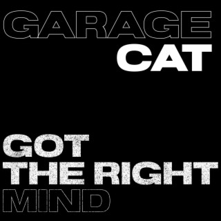Garage Cat