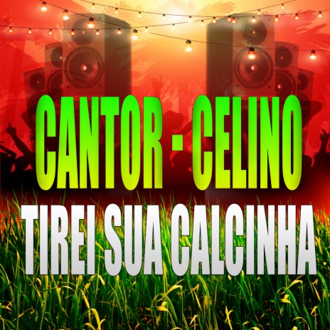 Tirei Sua Calcinha | Boomplay Music