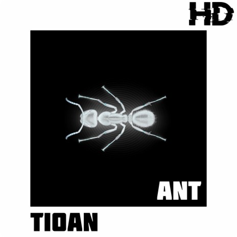Ant | Boomplay Music