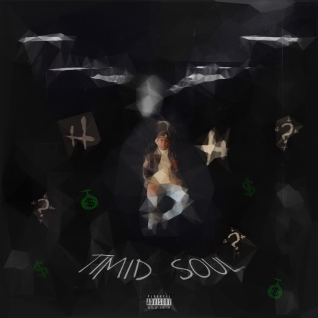 Timid Soul | Boomplay Music