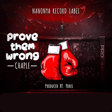 PROVE THEM WRONG | Boomplay Music