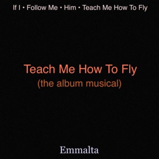 Teach Me How To Fly lyrics | Boomplay Music