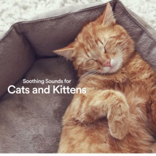 Soothing Sounds for Cats and Kittens