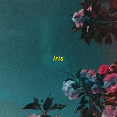 iris (slowed + reverb)