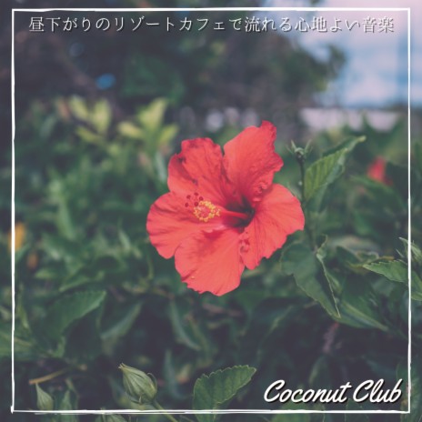 Cute Flower | Boomplay Music