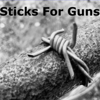 Sticks for Guns