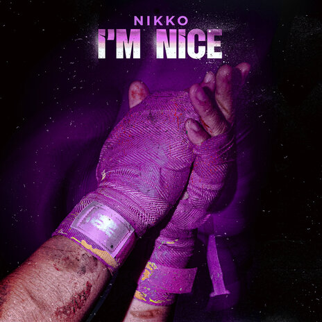 I'm Nice | Boomplay Music