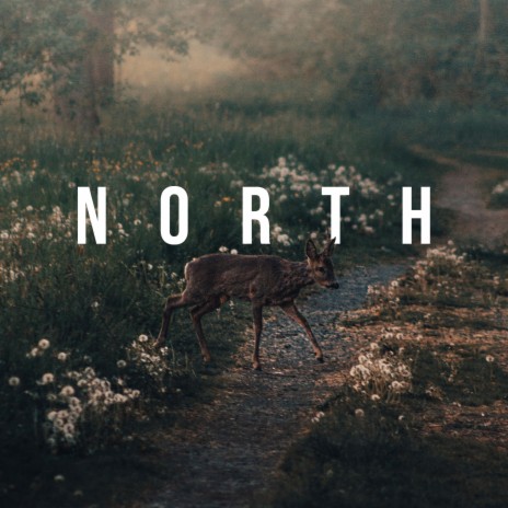 North | Boomplay Music