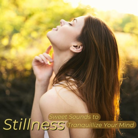 Tranquillize Your Mind | Boomplay Music