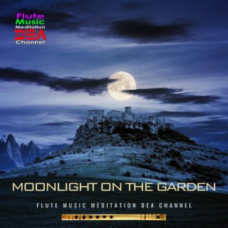 Moonlight on the garden (Nature Sounds Version)