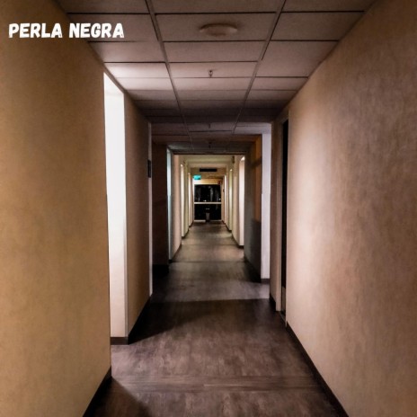 Perla Negra | Boomplay Music