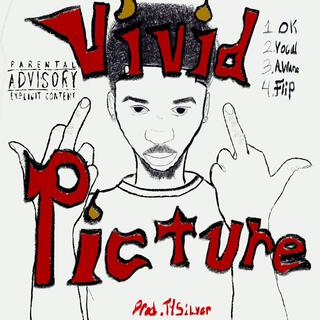 Vivid Picture