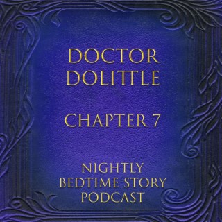 Doctor Dolittle by Hugh Lofting - Chapter 7