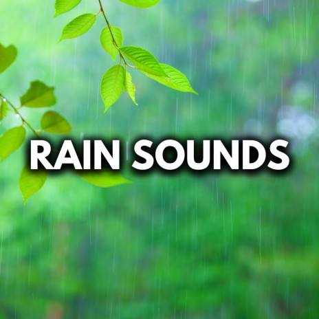 Rainforest Rain Sounds for Sleeping or Studying 🌧️ White Noise