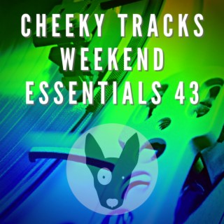 Cheeky Tracks Weekend Essentials 43