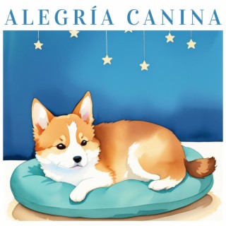 Alegría Canina: Aventuras Musicales Relajantes para Perros Contentos