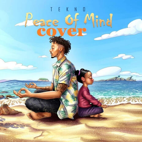 Tekno peace of mind cover | Boomplay Music