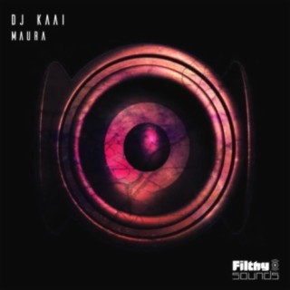 DJ Kaai